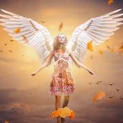 Foto reading met tarotist Lorena 